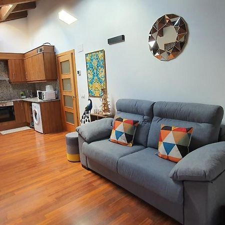 Cal Tranquil Camprodon, Acollidor Atic Al Centre Apartment Екстериор снимка