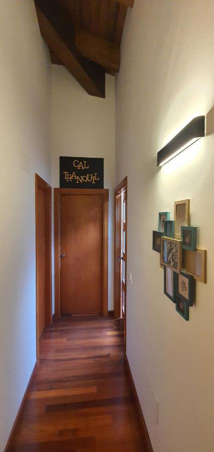 Cal Tranquil Camprodon, Acollidor Atic Al Centre Apartment Екстериор снимка