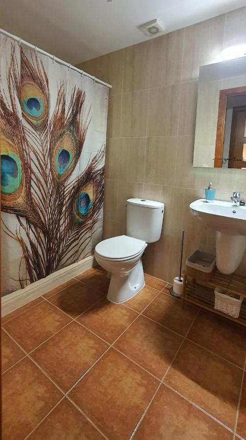 Cal Tranquil Camprodon, Acollidor Atic Al Centre Apartment Екстериор снимка