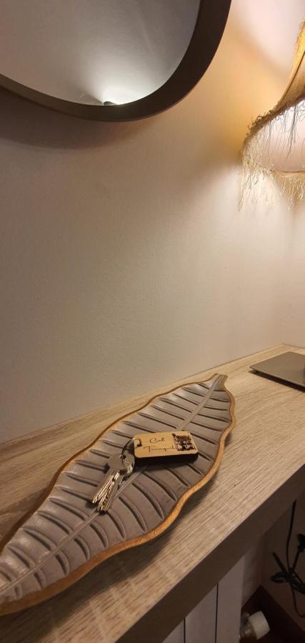 Cal Tranquil Camprodon, Acollidor Atic Al Centre Apartment Екстериор снимка
