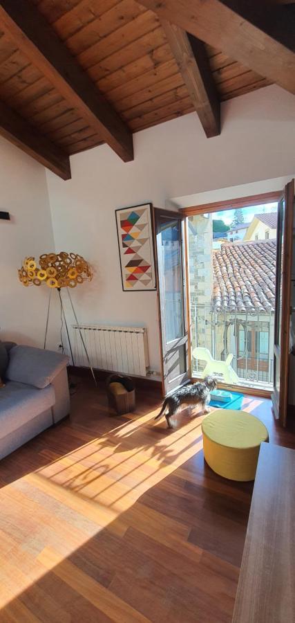 Cal Tranquil Camprodon, Acollidor Atic Al Centre Apartment Екстериор снимка