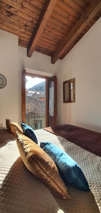 Cal Tranquil Camprodon, Acollidor Atic Al Centre Apartment Екстериор снимка